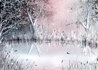 Bog Pond, Frost