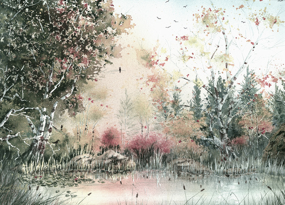 Bog Pond, Autumn