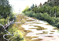 BogStream - Spring