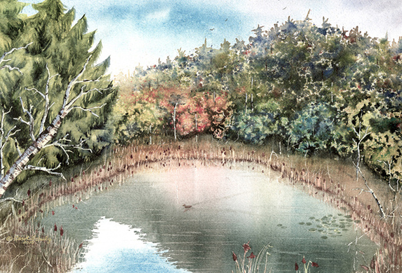 Duck Pond